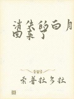 消失的白月光又回来了