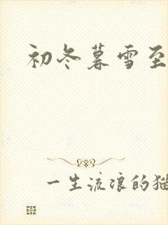 初冬暮雪至白头