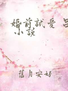 婚前试爱 吕颜 小说