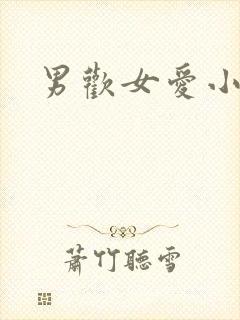 男欢女爱小说
