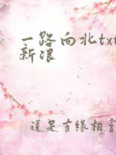 一路向北txt新浪