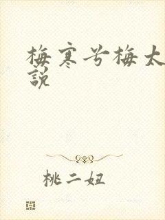 梅寒兮梅太颜小说