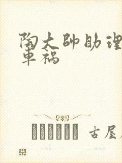 陶大帅助理子豪车祸