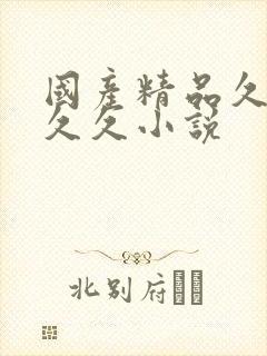 国产精品久久久久久小说