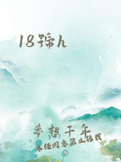 18号h