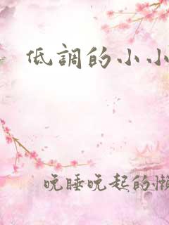 低调的小小宫女