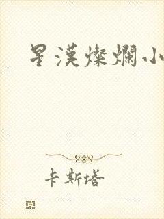 星汉灿烂小说