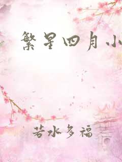 繁星四月小说
