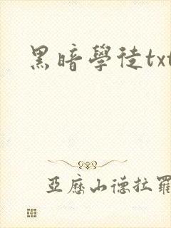 黑暗学徒txt