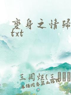 变身之情归何处txt