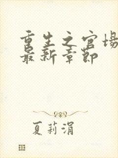 重生之官场风流最新章节