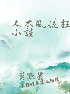 人不风流枉少年小说