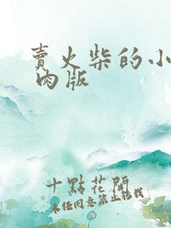 卖火柴的小男孩 肉版