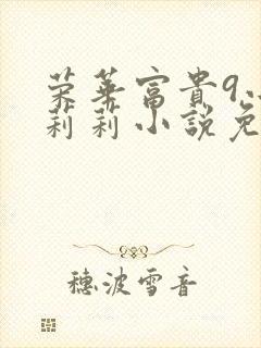 荣华富贵9小王莉莉小说免费阅读