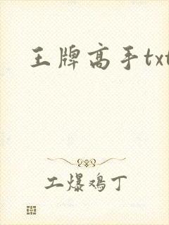 王牌高手txt