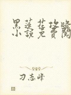 黑莲花攻略手册小说免费阅读