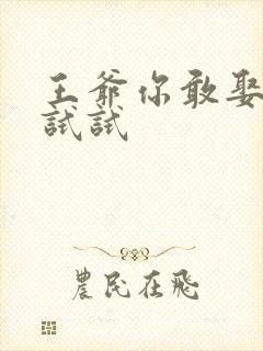 王爷你敢娶小三试试