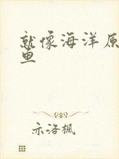 就像海洋原谅了鱼