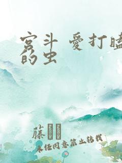 宫斗 爱打瞌睡的虫
