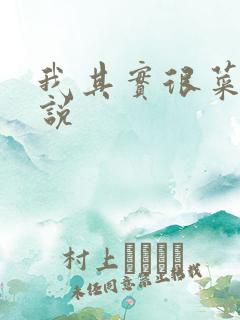 我其实很菜的小说