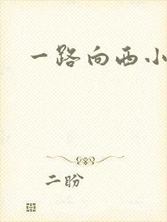 一路向西小说