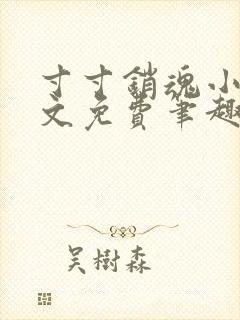 寸寸销魂小说全文免费笔趣阁