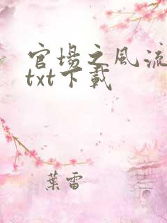 官场之风流人生txt下载