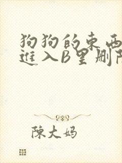 狗狗的东西直接进入B里删除