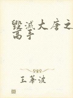 毁灭大唐之异能高手