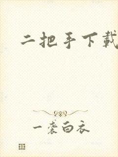 二把手下载