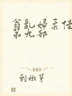 翁乱妇柔佳小说第九部