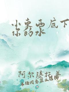 小东西底下都是你的水