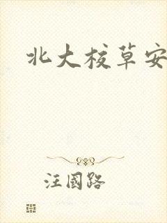 北大校草安允泽