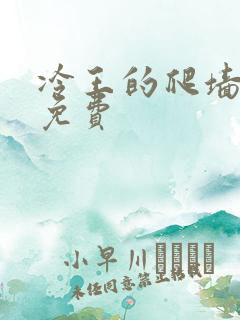 冷王的爬墙丑妃免费