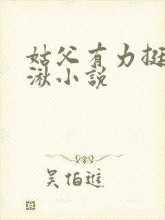 姑父有力挺送徐湫小说