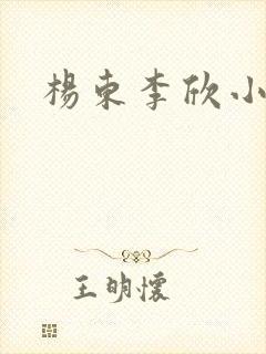 杨东李欣小说