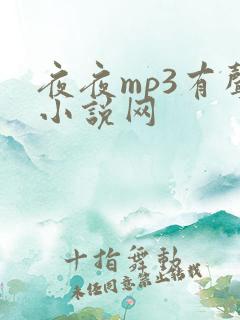 夜夜mp3有声小说网