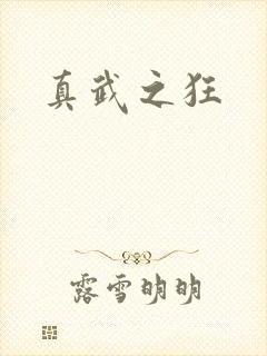 真武之狂