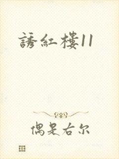 诱红楼11