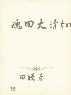 魂回大清txt