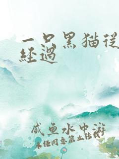 一只黑猫从眼前经过