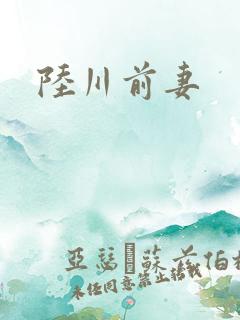 陆川前妻