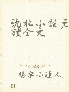 沈北小说免费阅读全文