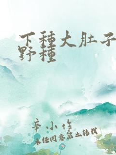 下种大肚子怀孕野种