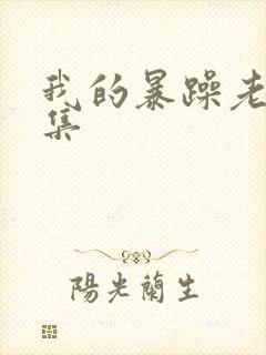 我的暴躁老妈全集