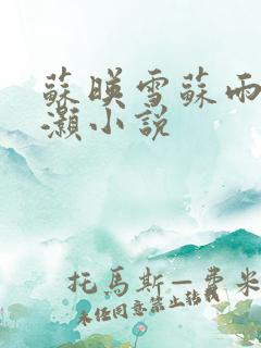 苏映雪苏雨柔苏灏小说