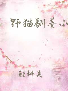 野猫驯养小说