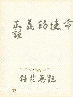 正义的使命 小说