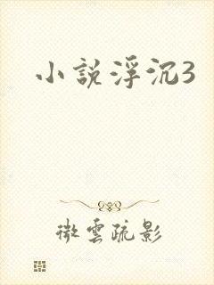 小说浮沉3