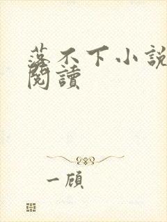 落不下小说免费阅读
